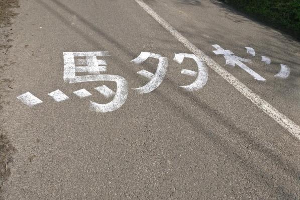 Wat de Japanse tekens betekenen, is voor velen een raadsel.© MD