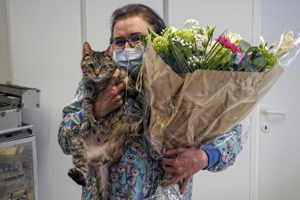 Annick Decoutere staat onze dierlijke metgezellen al meer dan veertig jaar bij. (foto CLL)