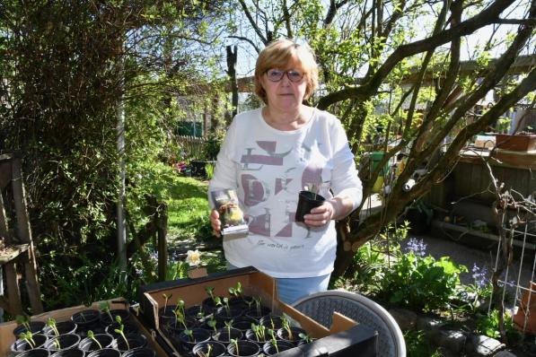 Dominique Vandecasteele heeft al heel wat plantjes, maar is nog op zoek naar extra plastieken bloempotjes.©ELS DELEU