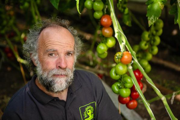 Philip Vermeulen kweekt biologische tomaten boordevol smaak.©Davy Coghe Davy Coghe
