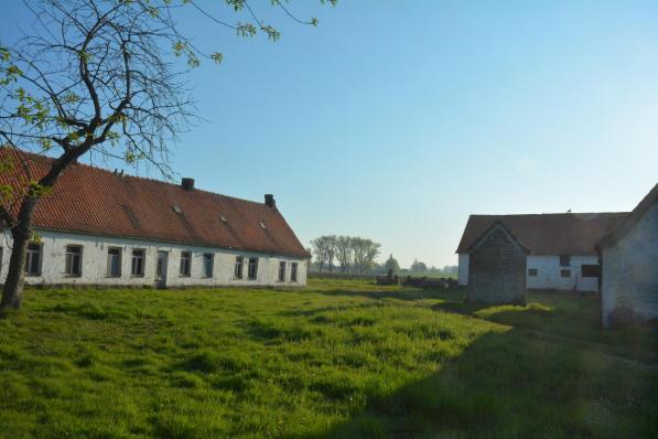 Op deze verlaten hoeve Lannoo in de Hoogleenstraat wordt een biokippenbedrijf ingeplant.©CLY