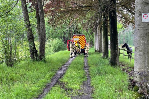 De bok was verstrengeld geraakt in netten die dienen om de gewassen te beschermen.© foto JV