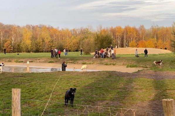 De hondenspeelweide aan het Ryckeveldebos.© JVMA