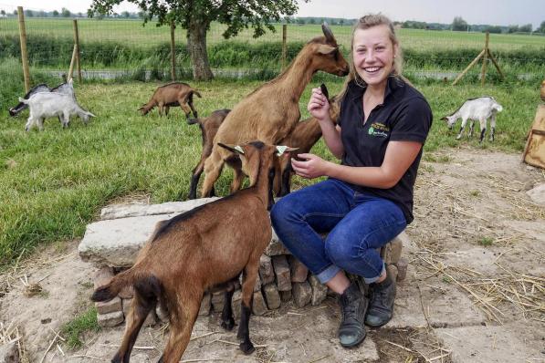 Cassandre Verhelst heeft 16 jonge geitjes onder haar hoede. (foto SR)