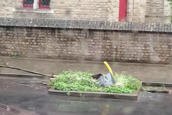 De boom ging tegen de vlakte na de aanrijding.© JH
