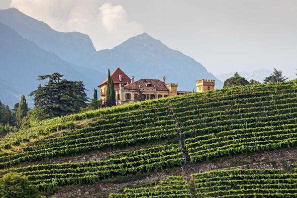 Wijnen uit Südtirol