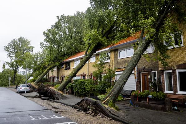 Haarlem, 5 juillet 2023