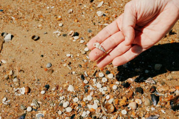 On s'initie aux joies du beachcombing © Joris Casaer