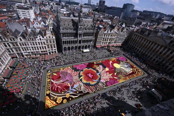 tapis de fleurs grand place bruxelles