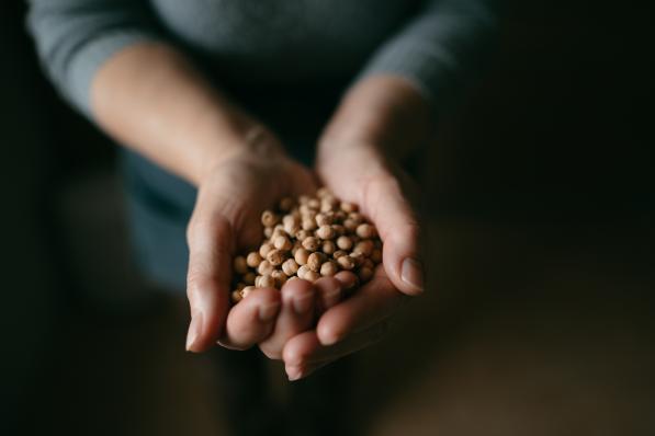 entrepreneurs food belgique