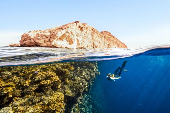 Plongée au large de Sindalah, à Neom - Getty Images