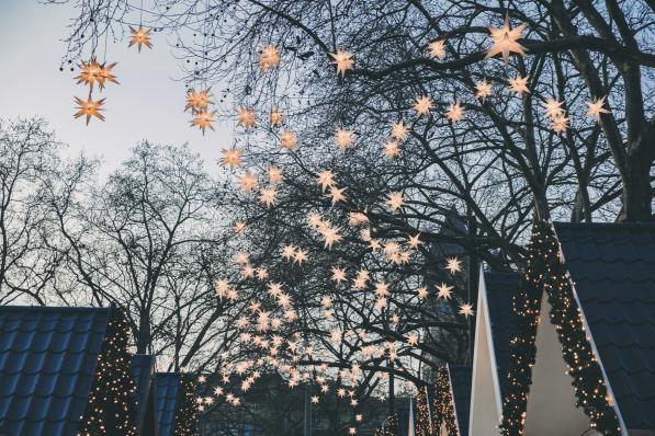 Decoration of paper stars on trees over roofs of the Christmas Market during dusk, Cologne, NRW, Germany