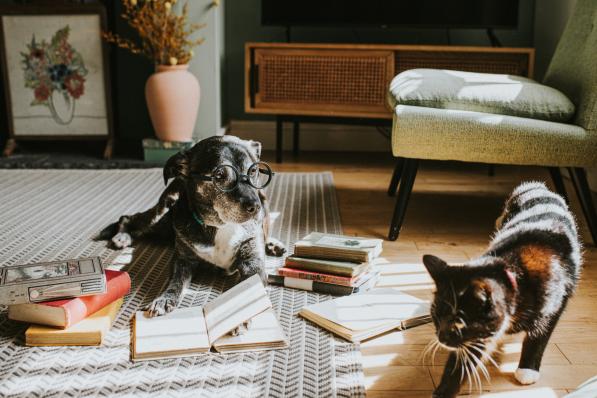 La pet parentalité n'est pas pour moi - Getty Images