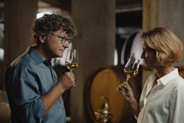 vin et co verdicchio