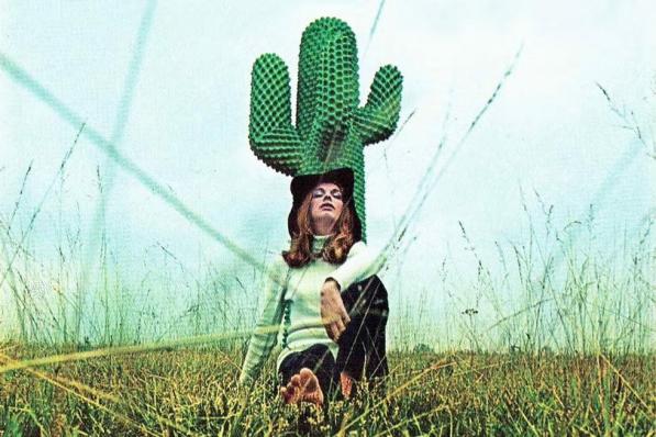 boring cactus histoire
