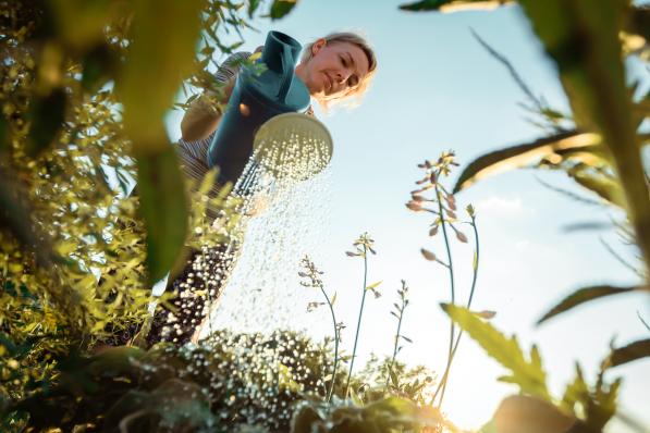 Tuin antidepressivum