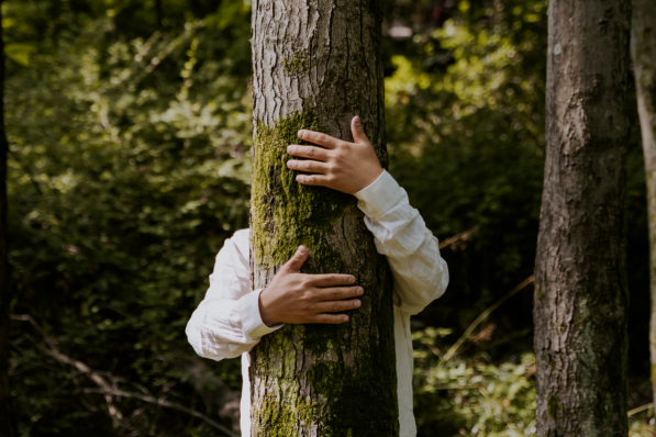 Où tester les bains de forêt en Belgique - Canva