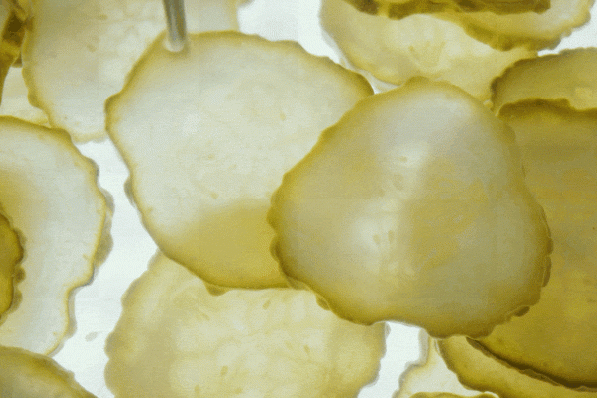 Pourquoi les pickles sont si populaires - Canva