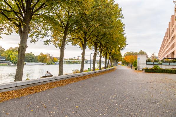 Maastricht, Holland - October 16, 2021: Buildings along Avenue Ceramique, the main street of the Ceramic district of the Dutch city of Maastricht.