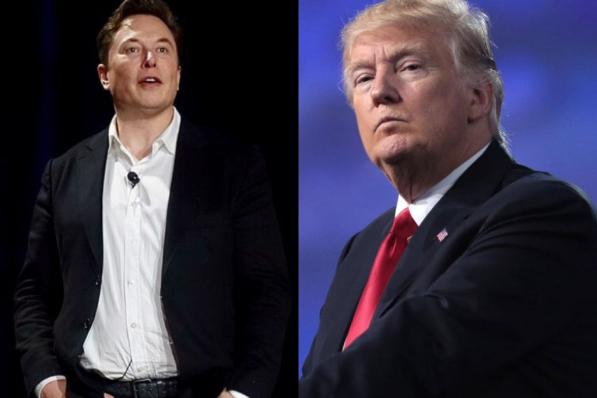 Donald Trump Elon Musk