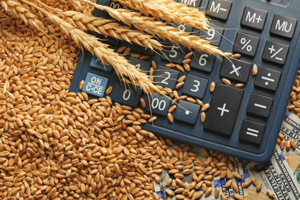 Beginnen met dividendbeleggen | De belangrijkste tips op een rij