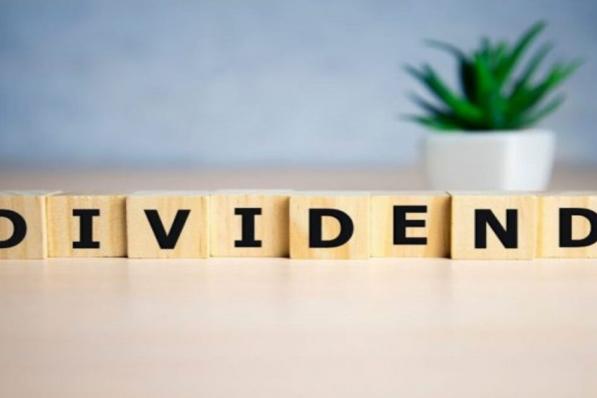 Dividendaandelen