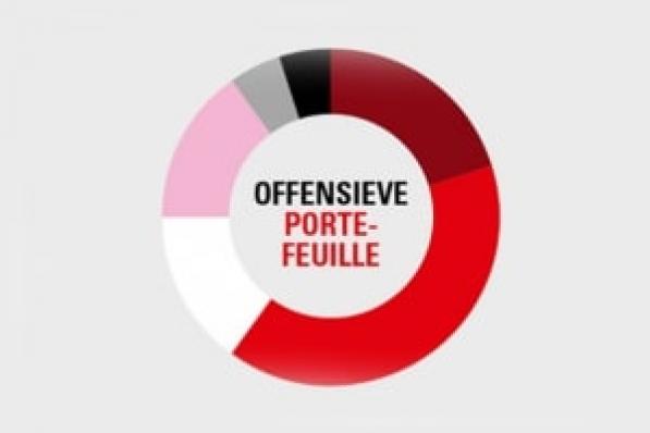 Aandelensegment offensieve portefeuille