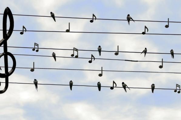 Universal Music Group