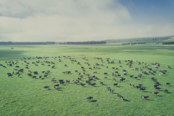 Aandeel ForFarmers | Uitdagingen