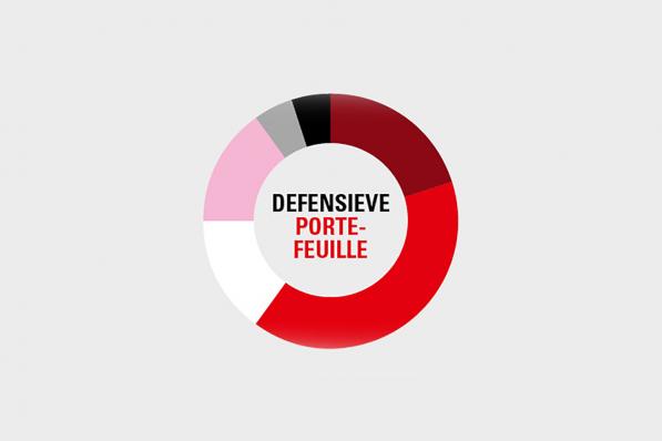 Jaaroverzicht Defensieve portefeuille | Baken van rust