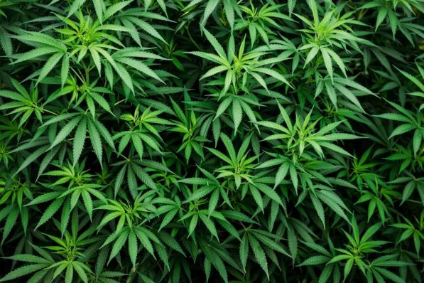 Innovative Industrial Properties | Het Cannabisaandeel