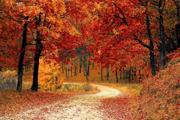 Twee scenario's voor de herfst