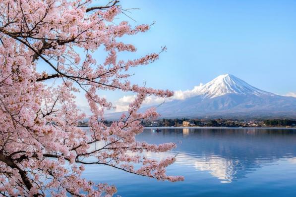 MFS | Beleggingskansen in Japan