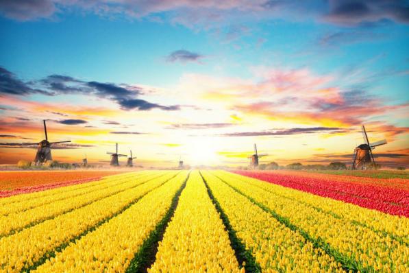 Fitch | Handhaving AAA-rating Nederland