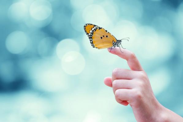 Opties butterfly spread
