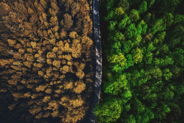 Wisselende beeld bij nieuwkomers Tips van de Week