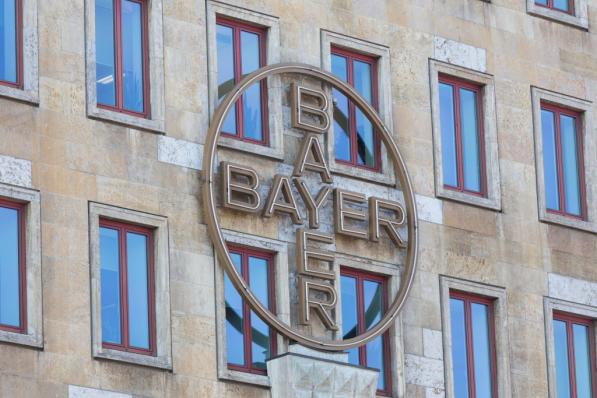 Optietips: aanhaken bij opleving Bayer
