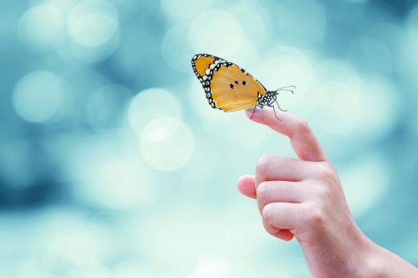 Optietip 151: Weer een AEX butterfly, nu voor januari