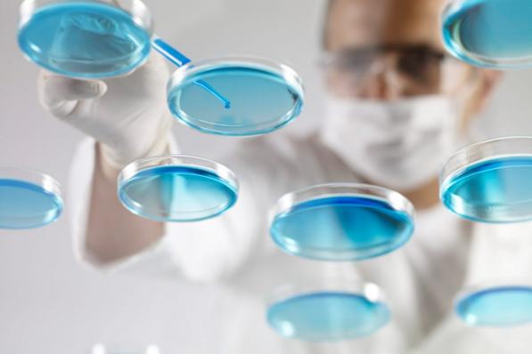 Kiadis op zoek naar kapitaal?