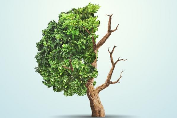 Wisselend succes bij nieuwkomers Tips van de Week