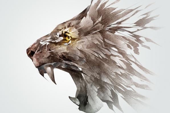 Rendement Hoogdividendportefeuille