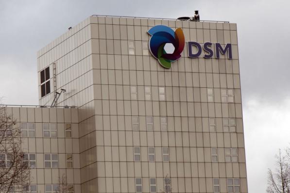strategie DSM betaalt