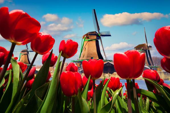 Populair deze week: Nederlandse technologie