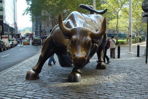 Bull New York