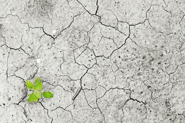 beleggen in klimaatverandering