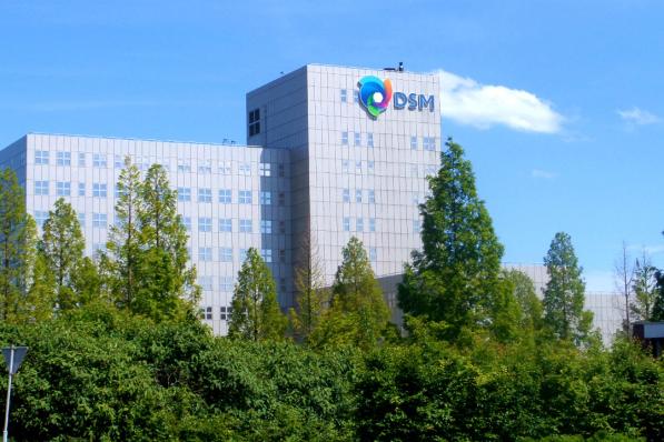 derde kwartaal DSM
