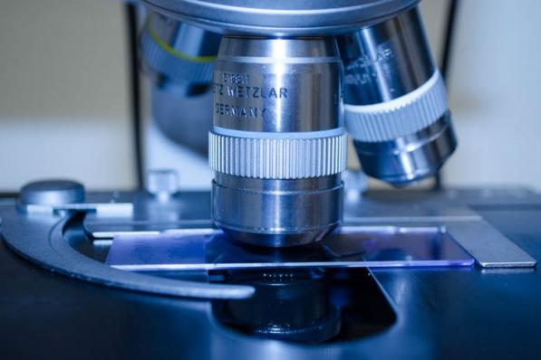 de SPDR S&P Biotech ETF