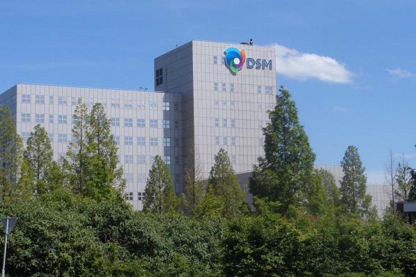 DSM heeft zin in
