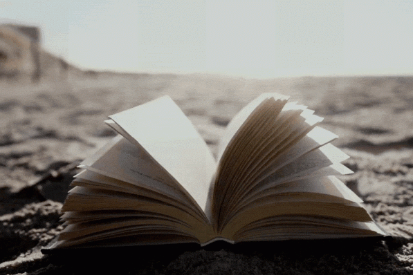 Notre sélection des meilleurs livres et romans de l'été 2025 - Canva