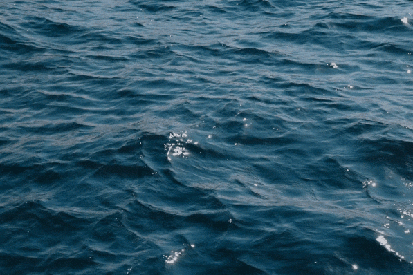 Et si la mer était la clé de votre bien-être? Canva